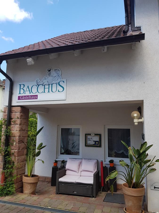 Gaestehaus Bacchus Wachenheim an der Weinstraße Exteriér fotografie