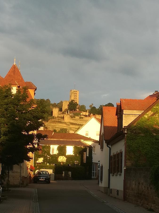 Gaestehaus Bacchus Wachenheim an der Weinstraße Exteriér fotografie